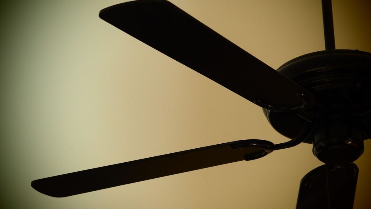 ventilador