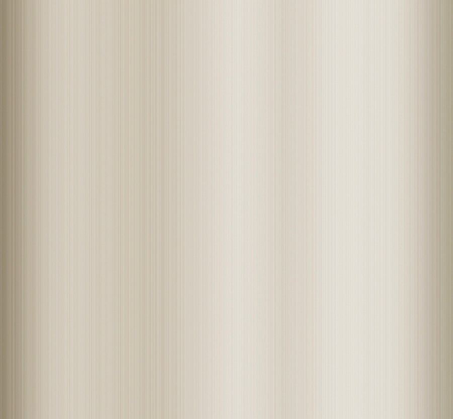 N&iacute;quel Escovado