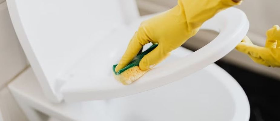 Como Limpar Assento Sanitário Almofadado?
