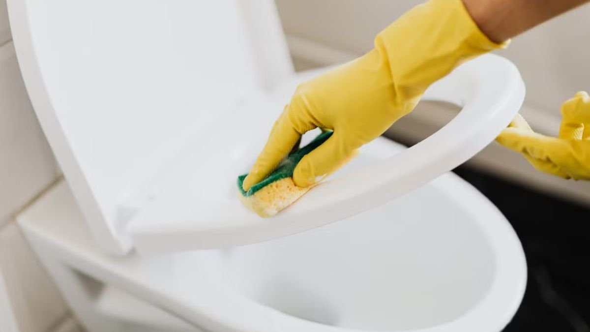 pessoa limpando assento sanitario
